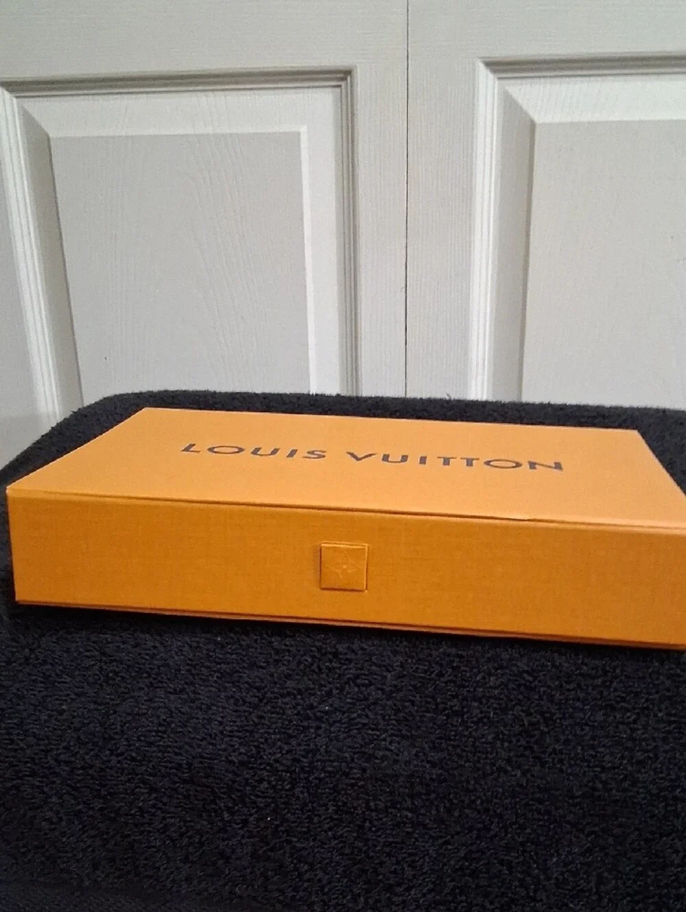 Louis Vuitton authentic louis